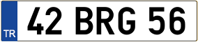 Trailer License Plate
